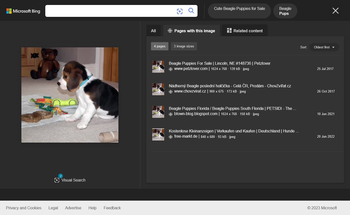 aa419's tweet photo. Who is this scamming client really @truehostcloud?
Example: /specialbreeders.co.za
A stolen puppy pic going back to 2017 #Fraud #PetScam https://t.co/z0gw9FiTyl
