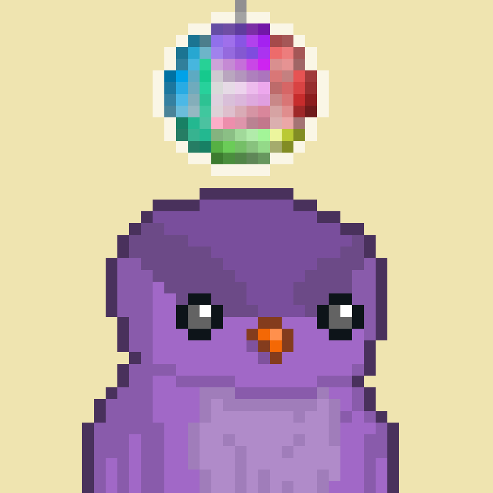 Solarbirds tweet media