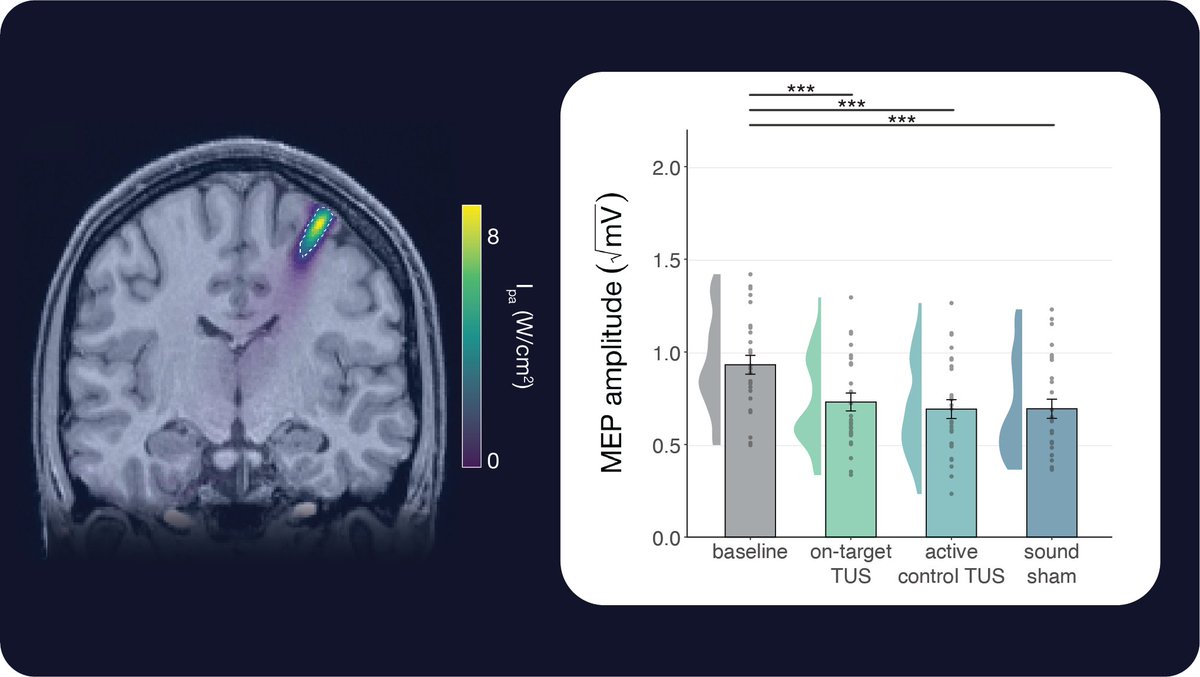 Benjamin Kop tweet media