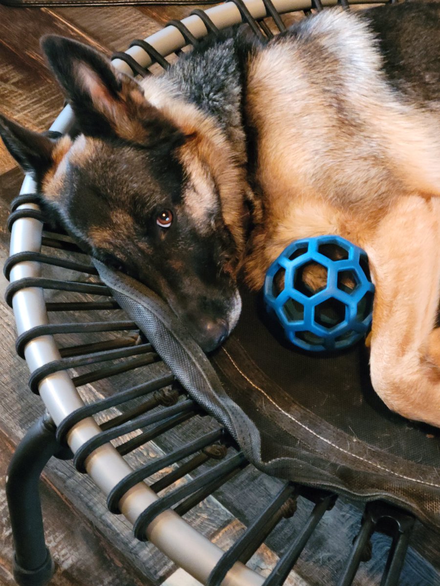 avanticentrae's tweet image. Throw the ball or follow me on #Spoutible @avanticentrae. Your choice!
#firstwave