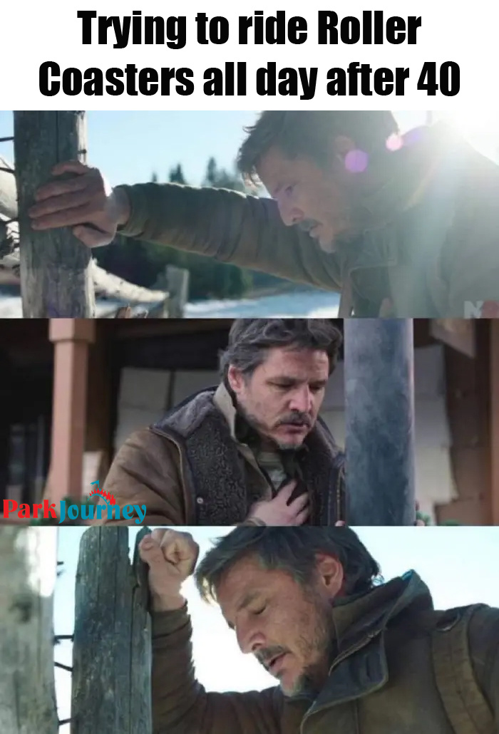 Park Journey tweet media