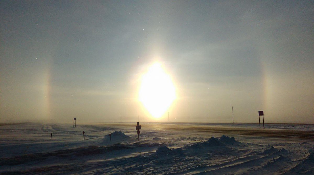 Peyton Loss tweet media