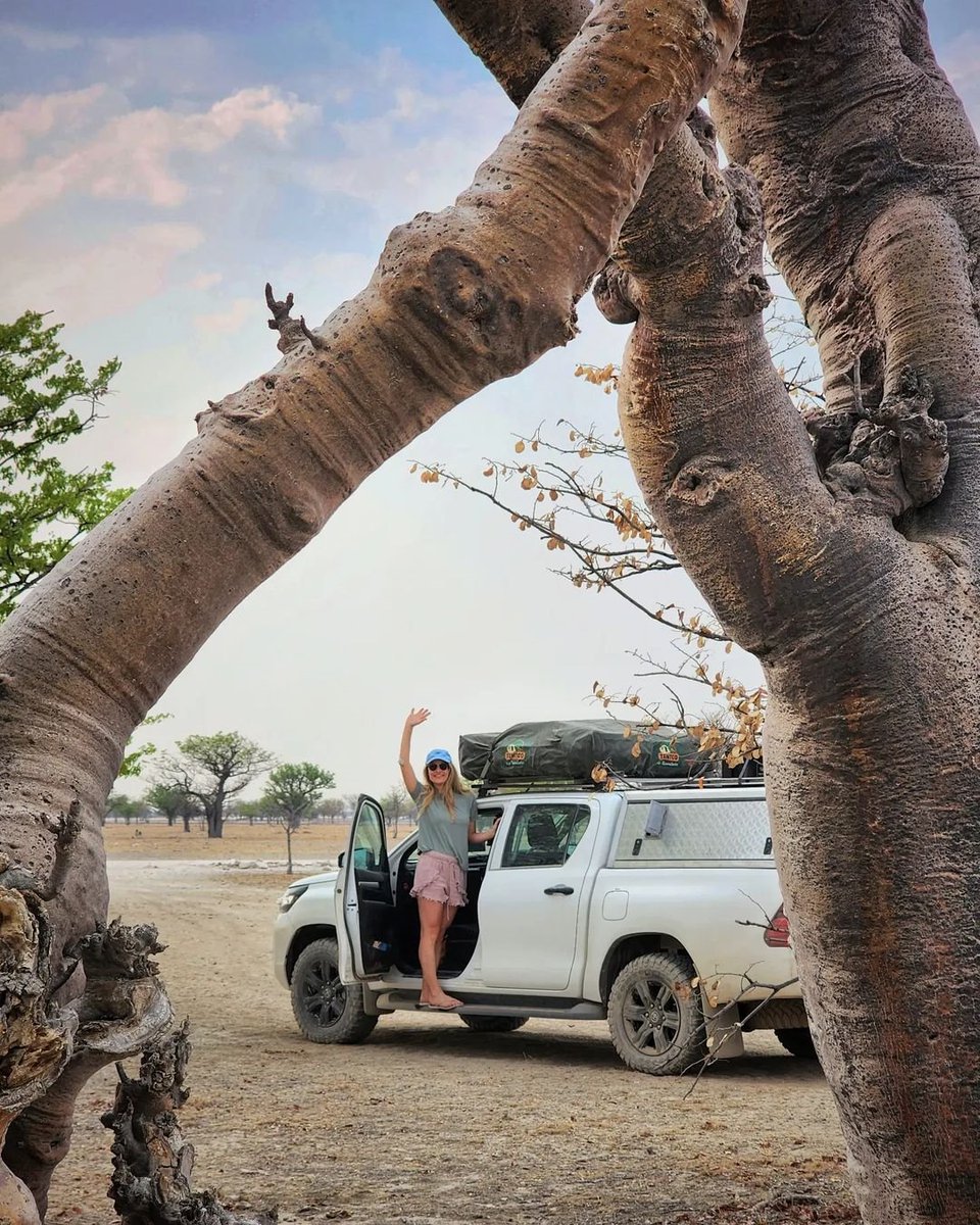 Repost 📸: @dust_and_diesel_overlanding:

The Fairy Tale Forest 😬

#escapegear #sparewheelcover #seatcovers #africa #africatreavel #explore #adventure  #offroad #namibia #forest #discoverearth #discover #travel #toyota