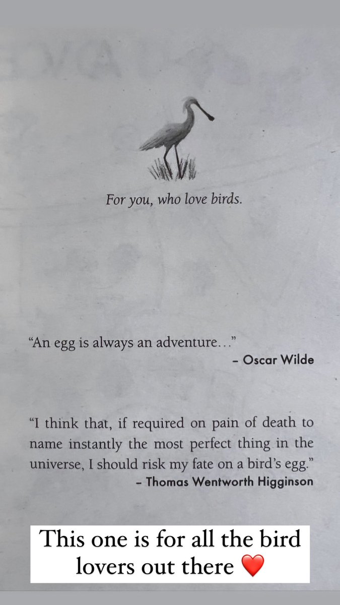 MGLnrd's tweet photo. Look what the postie just delivered! The delight of seeing your book in print for the first time never gets less exciting. This one is for the bird lovers.  @paddydonnelly artwork looks divine. Thankyou  @WalkerBooksUK CLUTCH will be in bookshops in April. 🪺📚#EasterRead https://t.co/4xS9f53Zxy