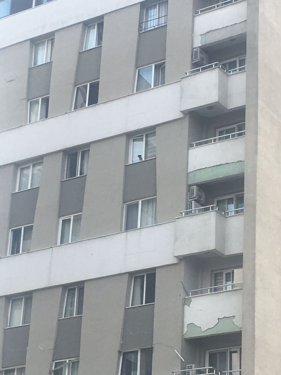 ACİL ACİL ACİL 
Antakya Terasrvler sitesi D blok 7. katta bir köpek var acil kurtarılması lazım. 
Camdan bakıyor. 
Otogar arkasında..