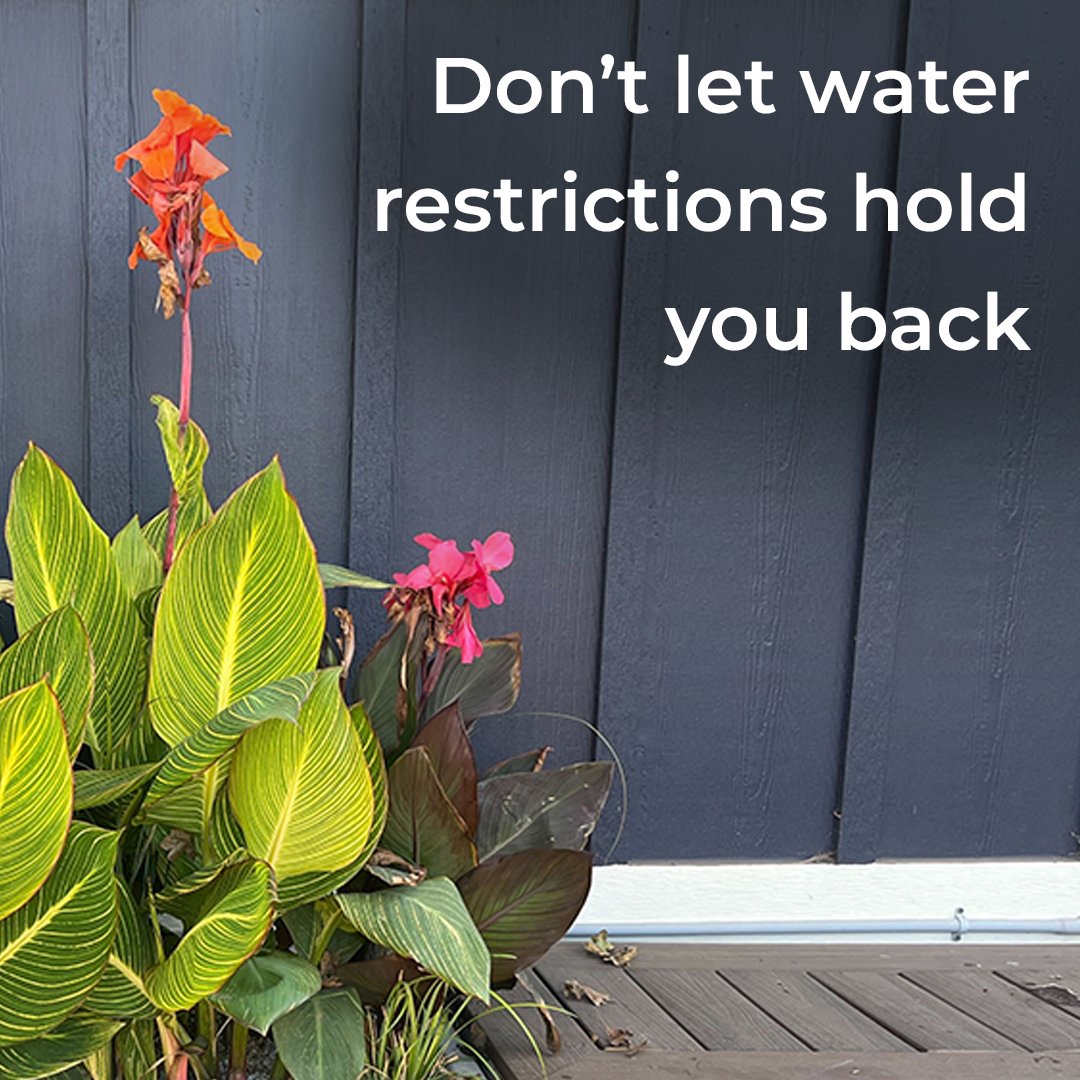 LeapFrog Design tweet media