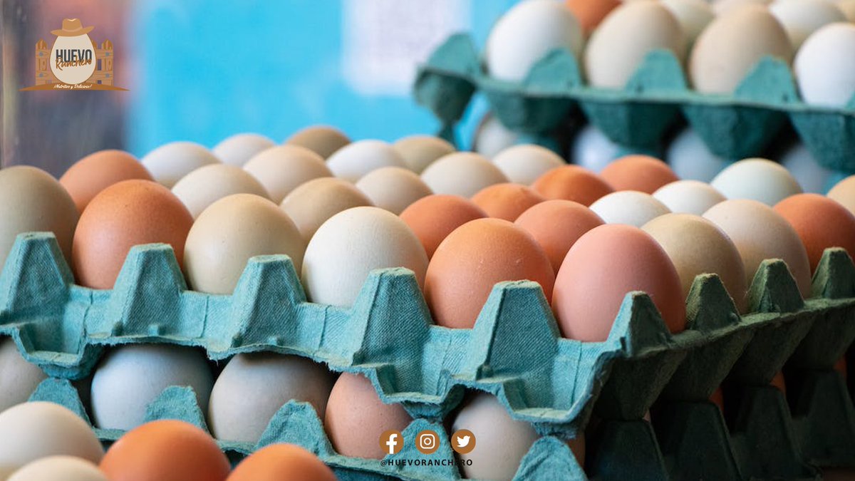 HuevoRancheroES's tweet photo. ¡Nuestro sabor y calidad convence al más estricto paladar!
Sin Químicos, sin Hormonas, Gallinas libres y felices.🥚🐔

Recuerda, somos #HuevoRanchero🤠 
Agenda tú pedido al 📲229 950 9190, Con gusto le atenderemos. 🤝 

Tu Salud es lo más valioso, aprendamos a comer Sano. ☺ https://t.co/It6WWkcpCq