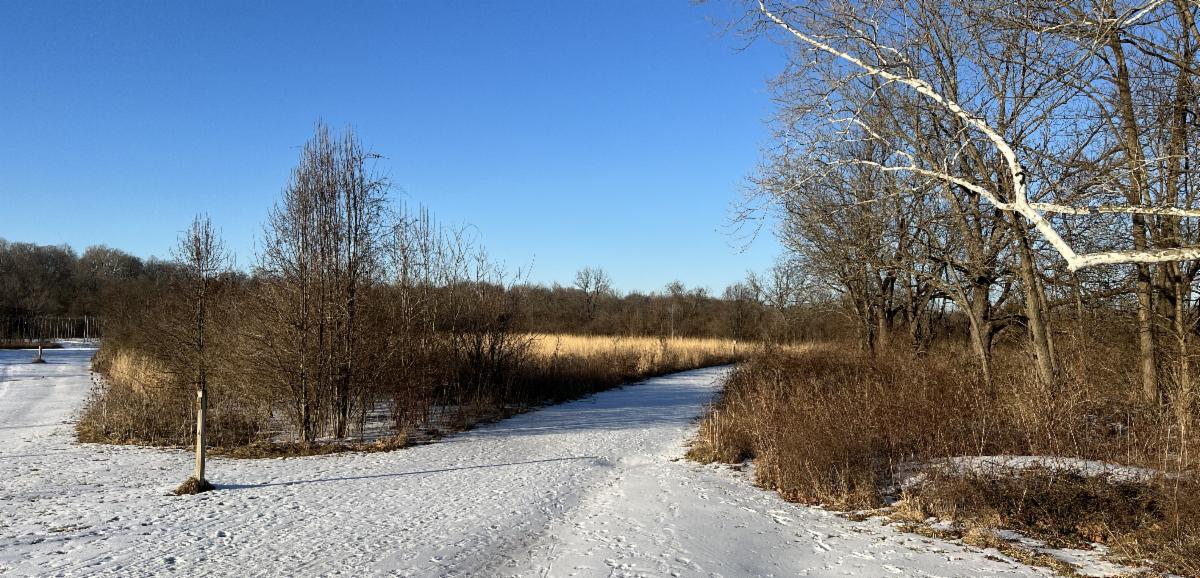 ValleyViewUs's tweet image. News from Valley View - spring is just around the corner!
conta.cc/3IQd5Zh