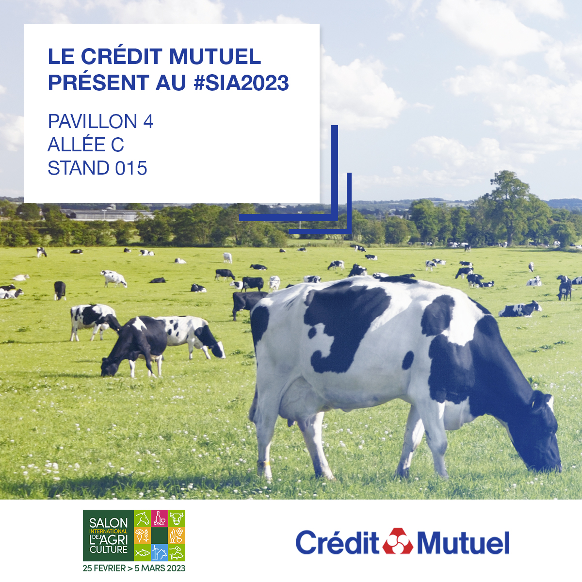 🐮Le <a href="/CreditMutuel/">Crédit Mutuel</a> est heureux de vous accueillir sur son stand tout au long du <a href="/Salondelagri/">Salon International de l'Agriculture</a> 2023. #SIA2023. Retrouvez-nous au pavillon 4 allée C stand 015. Nous serons ravis de répondre à toutes vos questions ! On vous attend nombreux ! 😀 creditmutuel.com/fr/actualites/…