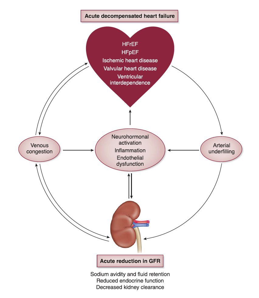 “#Cardiorenal Syndrome in the Hospital : Clinical Journal of the American Society of #Nephrology.” #FOAMcc #Nephpearls #CardioEd #CardioTwitter #FOAMed #IntensiveCare #CriticalCareNephrology 🔗 journals.lww.com/cjasn/Fulltext…