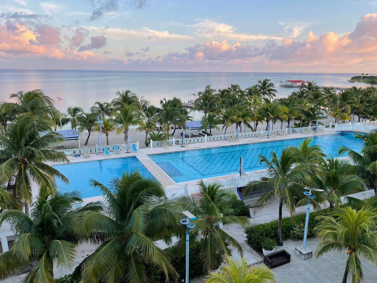 Belize Dive Haven tweet media