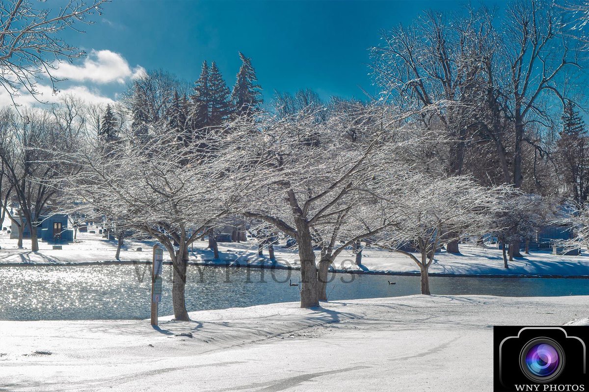 PhotosWny's tweet photo. It may be chilly out there, but look past that and look at the beauty that is in front of us for this day...
#iceontrees #icestorm #icestorm23 #buffalo #buffalony #nature #naturephotography #naturelover #naturesbeauty #glistening #trees https://t.co/PyCt67mlzs