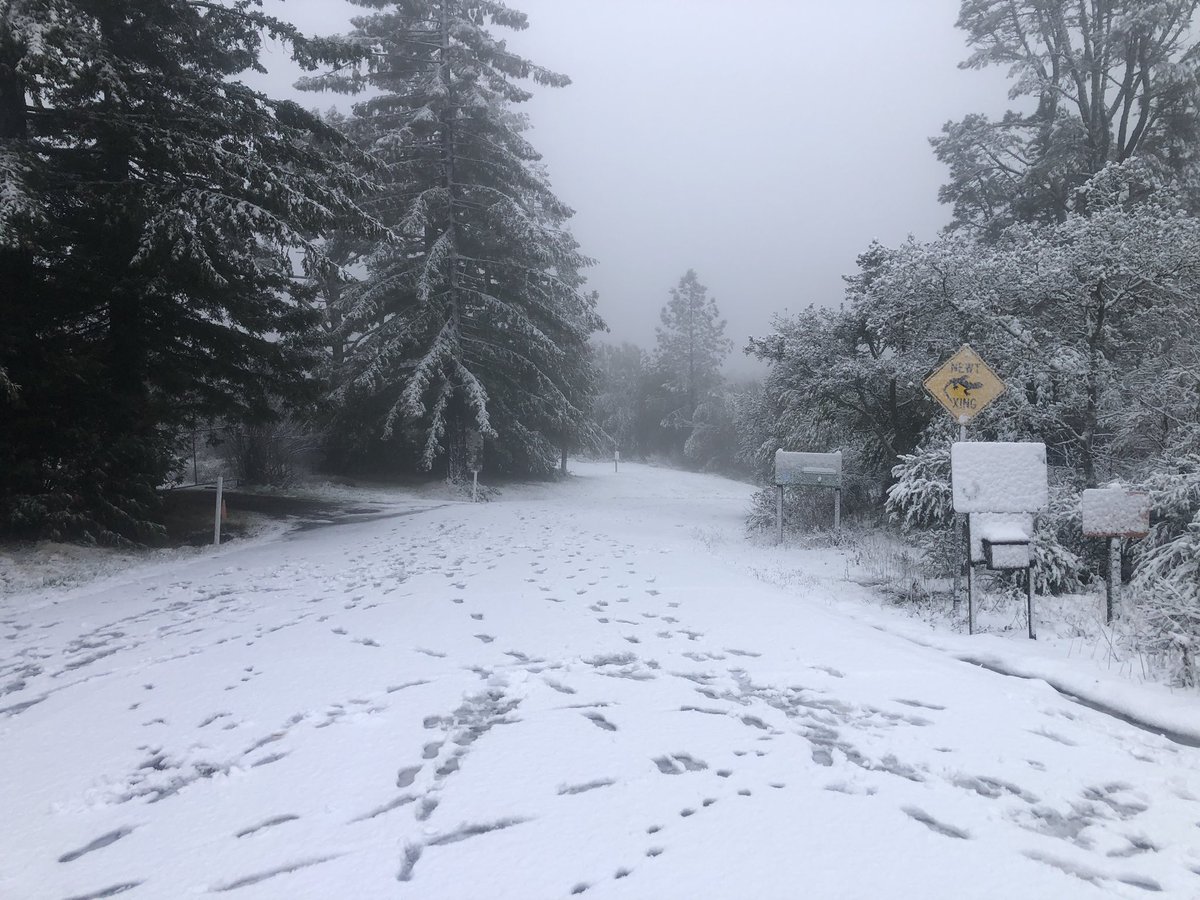 jotulloch's tweet photo. Scenes from Grizzly Peak Rd. this morning. @NWSBayArea @EBRPD https://t.co/0Npdszl0QO