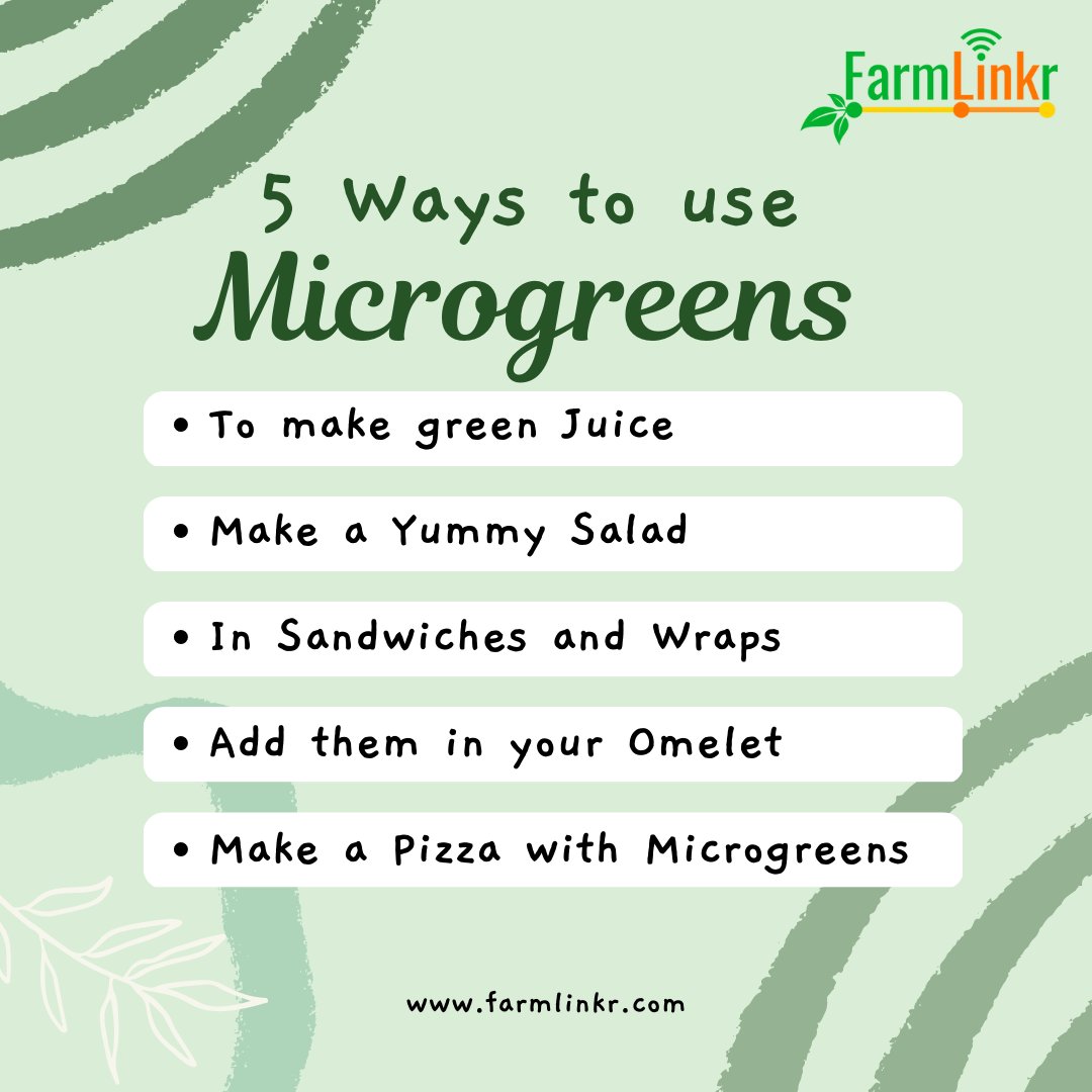 FarmLinkr's tweet photo. Grab Microgreens now at:
📍General Foods, Liguanea
📍Megamart, Waterloo Road 
📍Hi-Lo Barbican, Liguanea and Portmore 
📍Select Grocers: Manor Park and May Pen

#farmlinkr https://t.co/STJFP454ni
