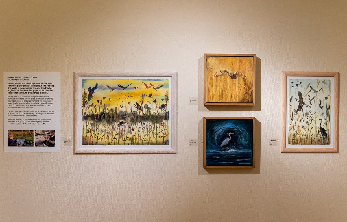 Making plans for the weekend? 💭 Come and see our two fantastic exhibitions! Capturing Life: A Century of the #NewEnglishArtClub and Jessica Palmer: Wetland Spring. Don't forget to visit our permanent collection in the Upper Gallery too victoriagal.org.uk/events