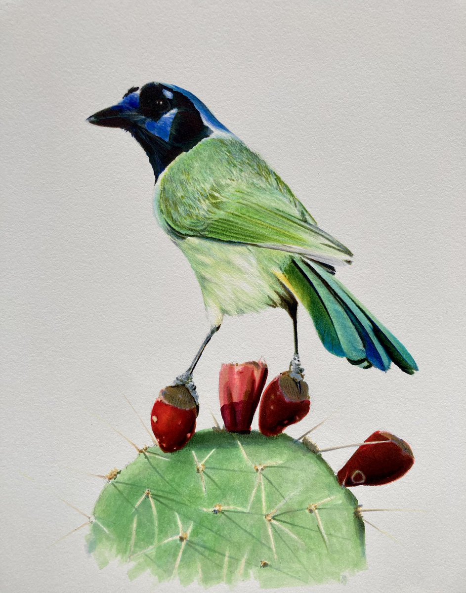 Spencer Reinhard tweet media