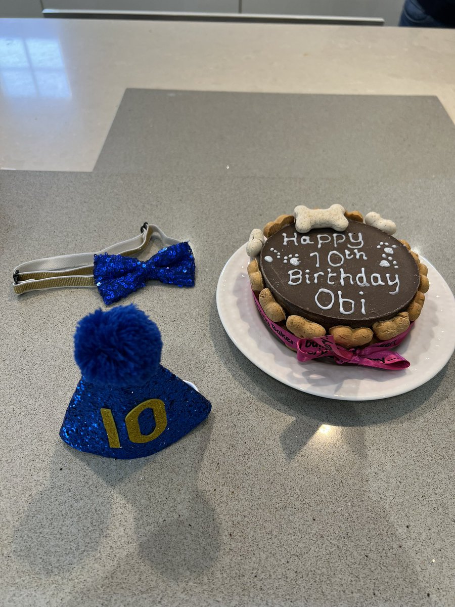 2fablabs's tweet photo. Happy Birthday Obi! 10 today 🐾🐾 https://t.co/V0QPSYeumj