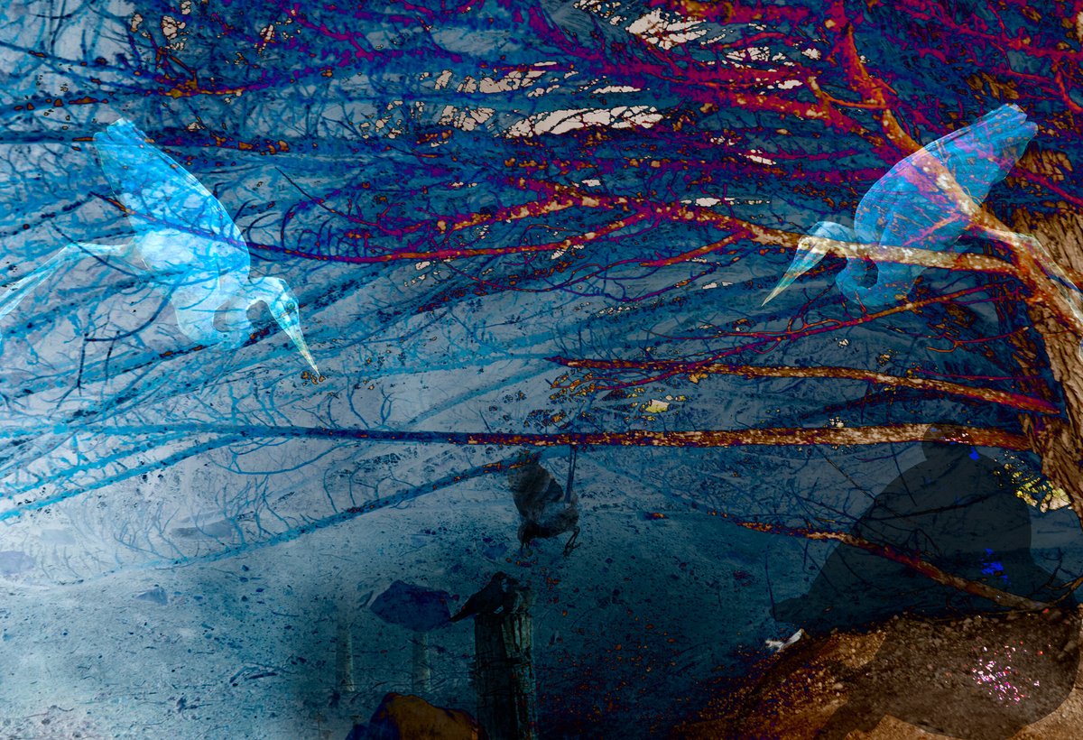 Tart_of_beans's tweet image. #MoodMagic #dreamScape #beautifulBizarre #the_mirror_of_our_souls