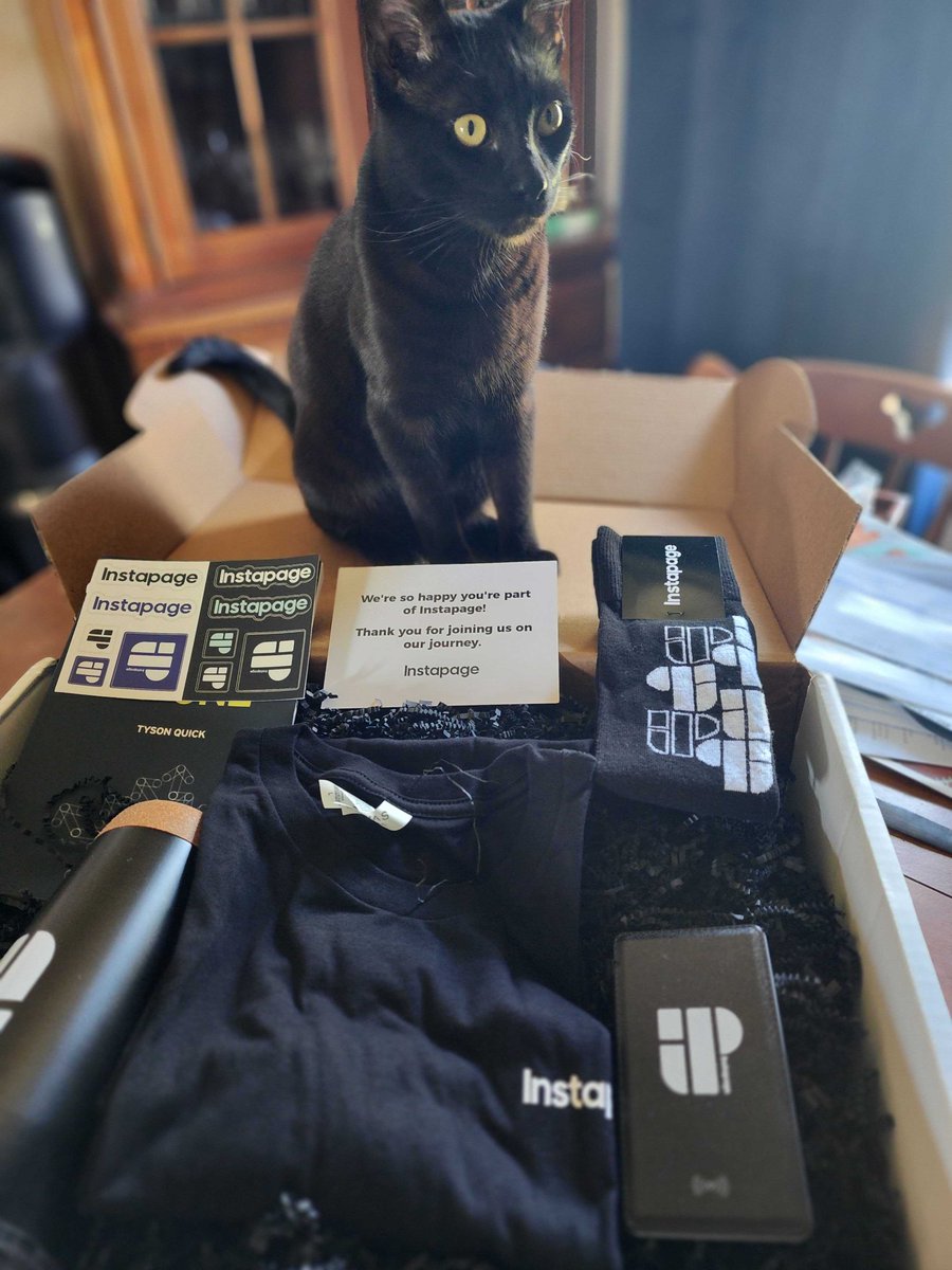 Instapage's tweet photo. #TeamInstapage showcases their brand spirit! After a brand workshop earlier this week, employees now know our brand inside and out. A big thank you to our #Instapeeps for making Instapage a great place to work. https://t.co/qIeFCiu531 https://t.co/aMELVuUpVx