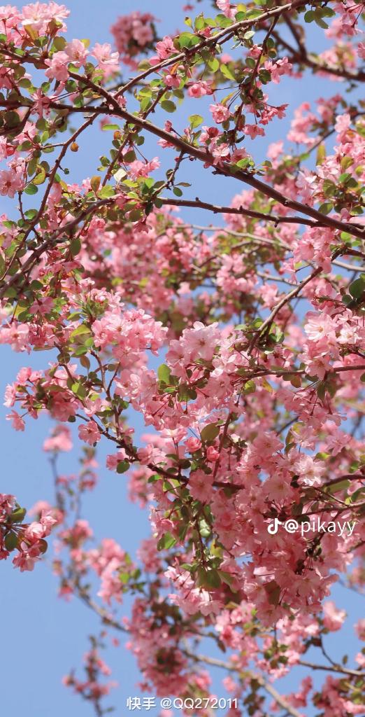 The beginning of a new day is when good things will appear🌷✨