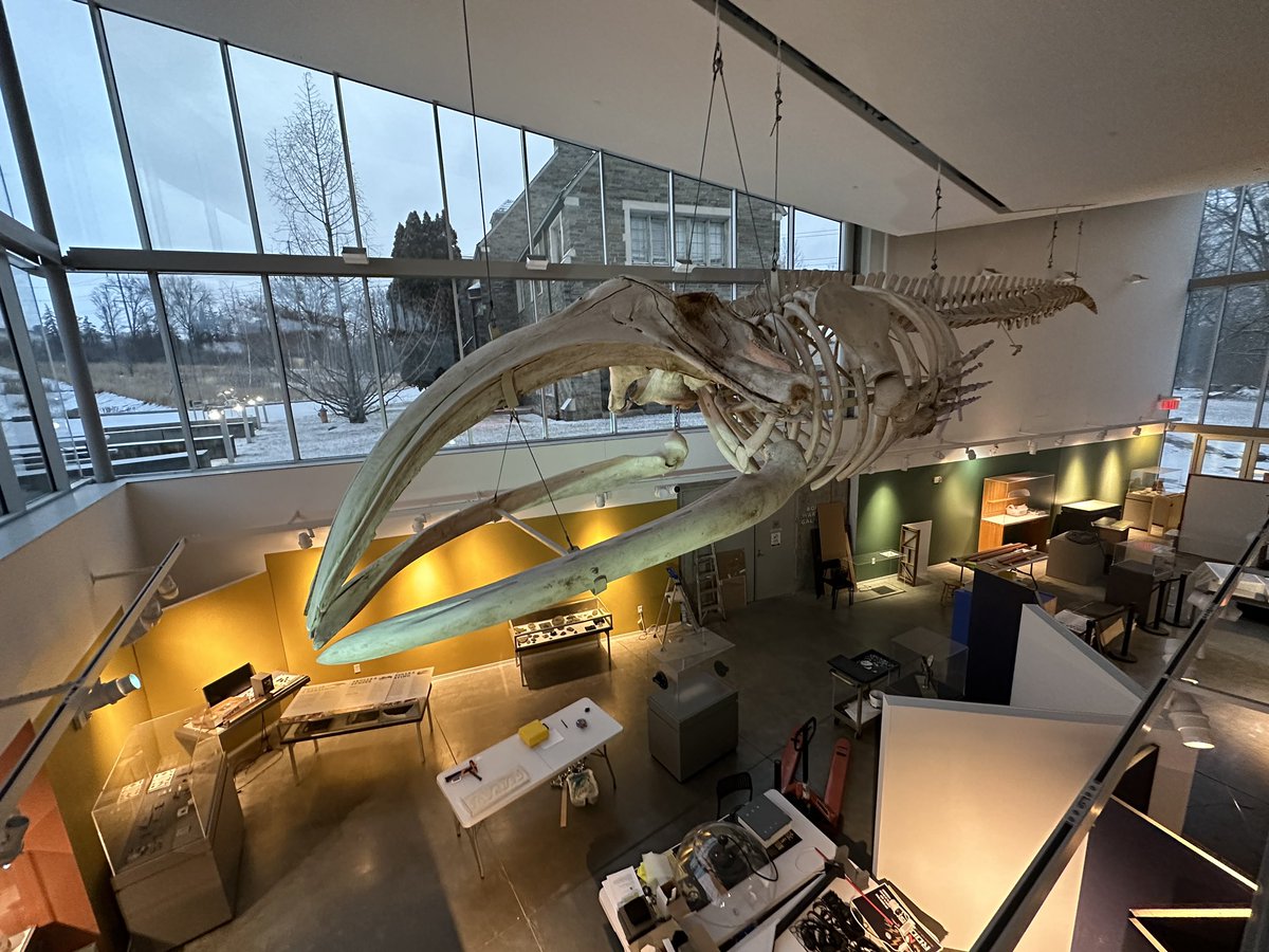 KrystalColeTV's tweet photo. Check out that mastodon skeleton 👀 I got the chance to explore the Museum of the Earth this morning, and if you’ve never been, teachers can get in for free for the rest of the month! 🧑‍🏫 It’s part of Ithaca Loves Teachers with @VisitIthaca https://t.co/yigA2c0y6U