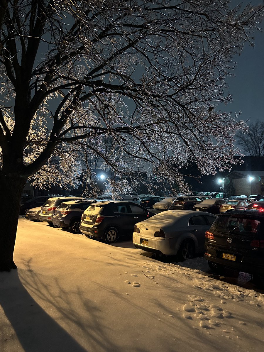 cbigger70's tweet photo. The ice on the car may be a pain, but have to admit, the trees look amazing coated in the ice. #ROC #icestorm #crystaltree https://t.co/LV1aGbFL6O