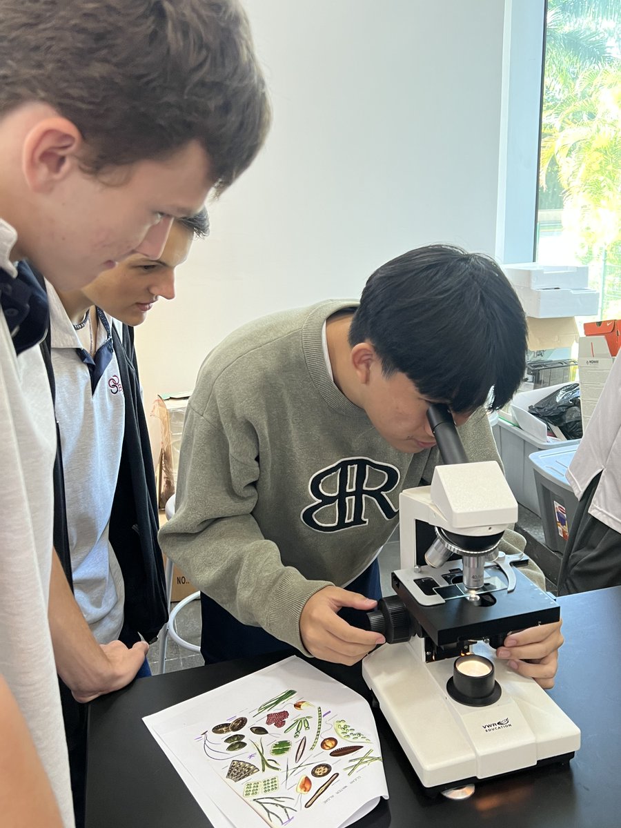 bostonschool_pa's tweet image. Students from 11th grade made observations of a sample of pond water through the microscope. They looked for protist organisms like green algae and parasites. #BSI #Panama #Education #Secondary #Biology