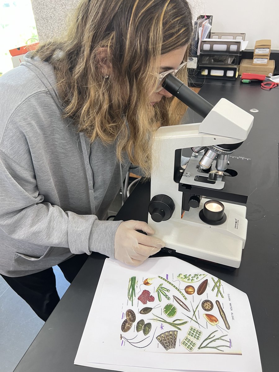bostonschool_pa's tweet image. Students from 11th grade made observations of a sample of pond water through the microscope. They looked for protist organisms like green algae and parasites. #BSI #Panama #Education #Secondary #Biology