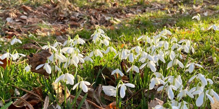 Is it too early to say that Spring is in the air?

#aberdeenshirewalks #visitabdn #visitroyaldeeside #walkinginscotland #aboyne #spring