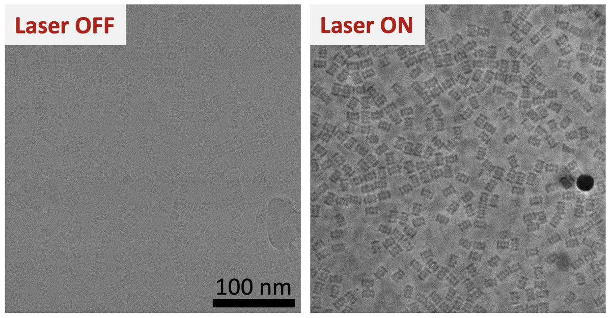 One World Cryo-EM Online Seminars tweet media