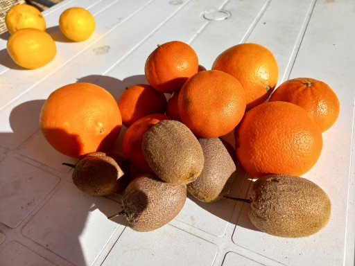 anke_hc's tweet photo. anke_hc EcoHouse Risan, it's springtime, harvested our last fruit. @ClimateReality , @MacedonianHoney , @the_iPHA https://t.co/U0wMzAk328