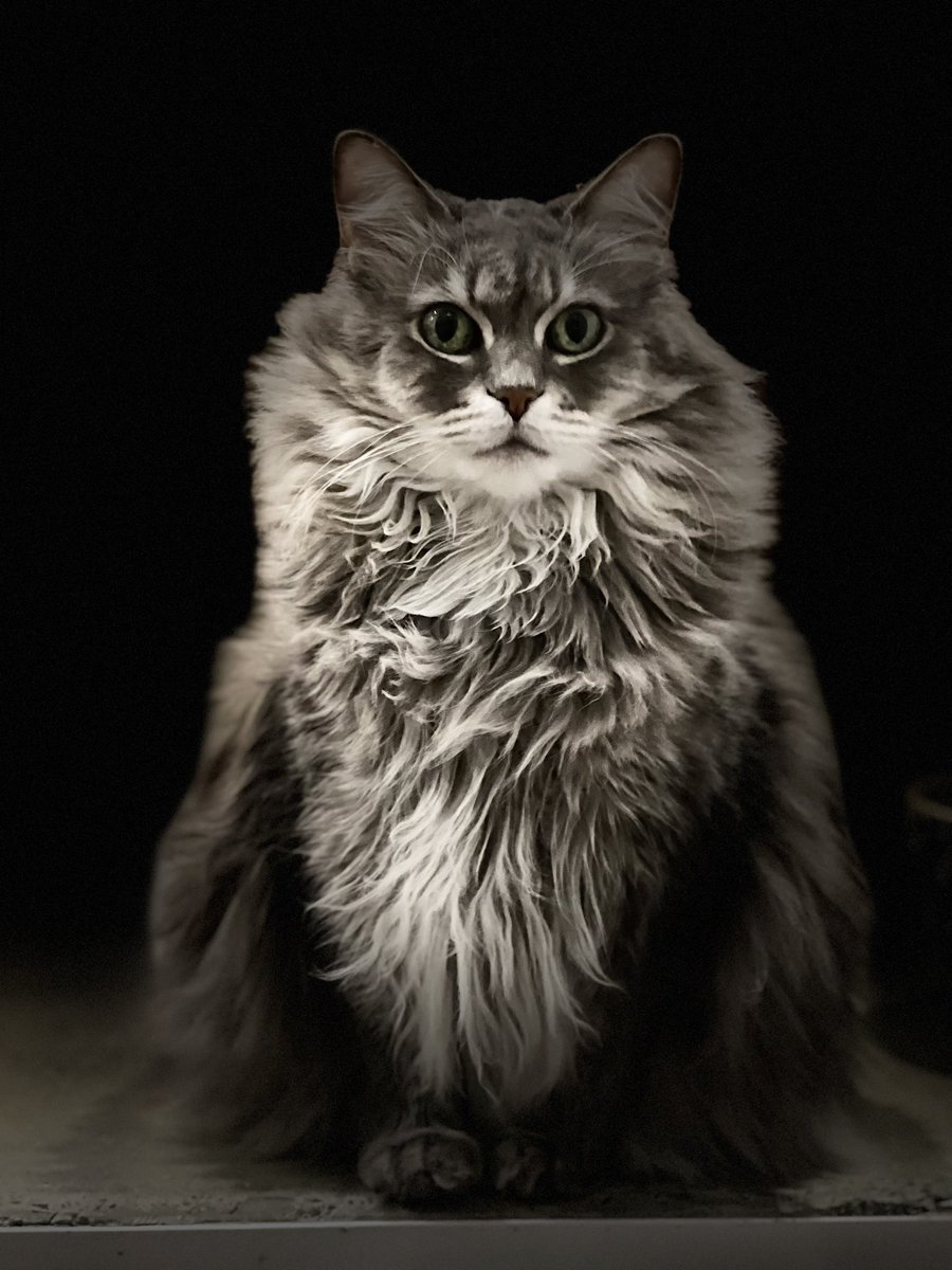 Brun Lab tweet media