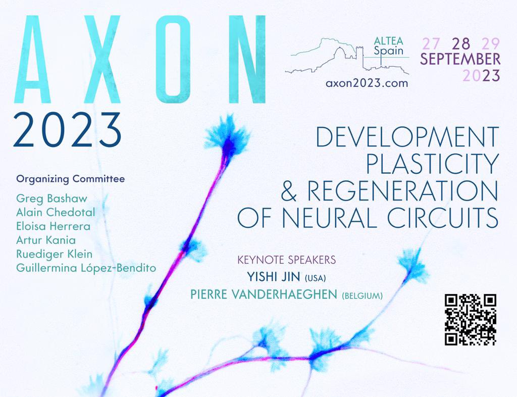 The AXON meeting is returning! This time in beautiful Altea, Alicante on the 27-29 September with an amazing list of the very experts on development, plasticity and regeneration of neural circuits! Save the date! More details at axon2023.com
#axon2023 <a href="/GuilleLBendito/">Guille Lopez-Bendito</a>