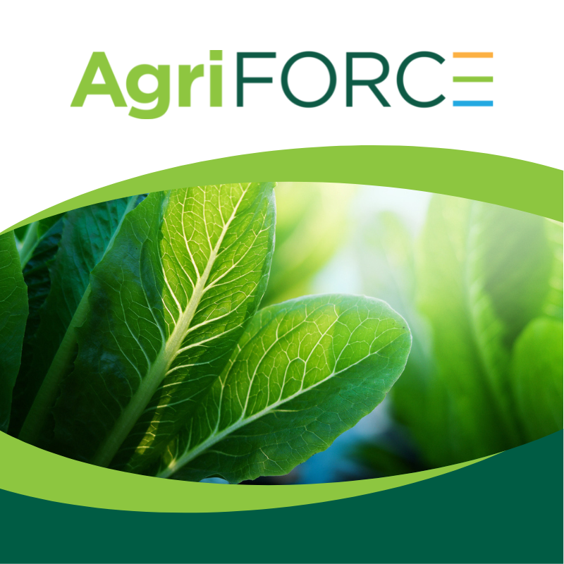avax_one's tweet photo. The recently announced AgriFORCE granted patent has 19 claims relating to the unique features and design of its structures for growing plants.
Read more here: https://t.co/QfexNTcCbP
#agriforce #forcegh #CEA #patent #IP #innovation https://t.co/2JGYyxgfAI