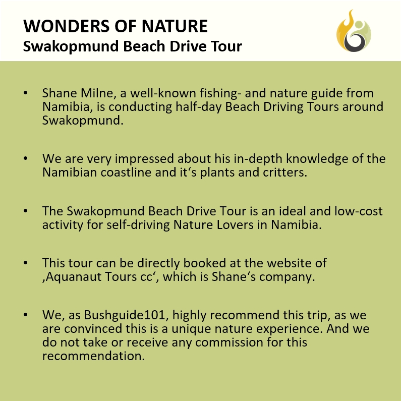 Bushguide101 tweet media