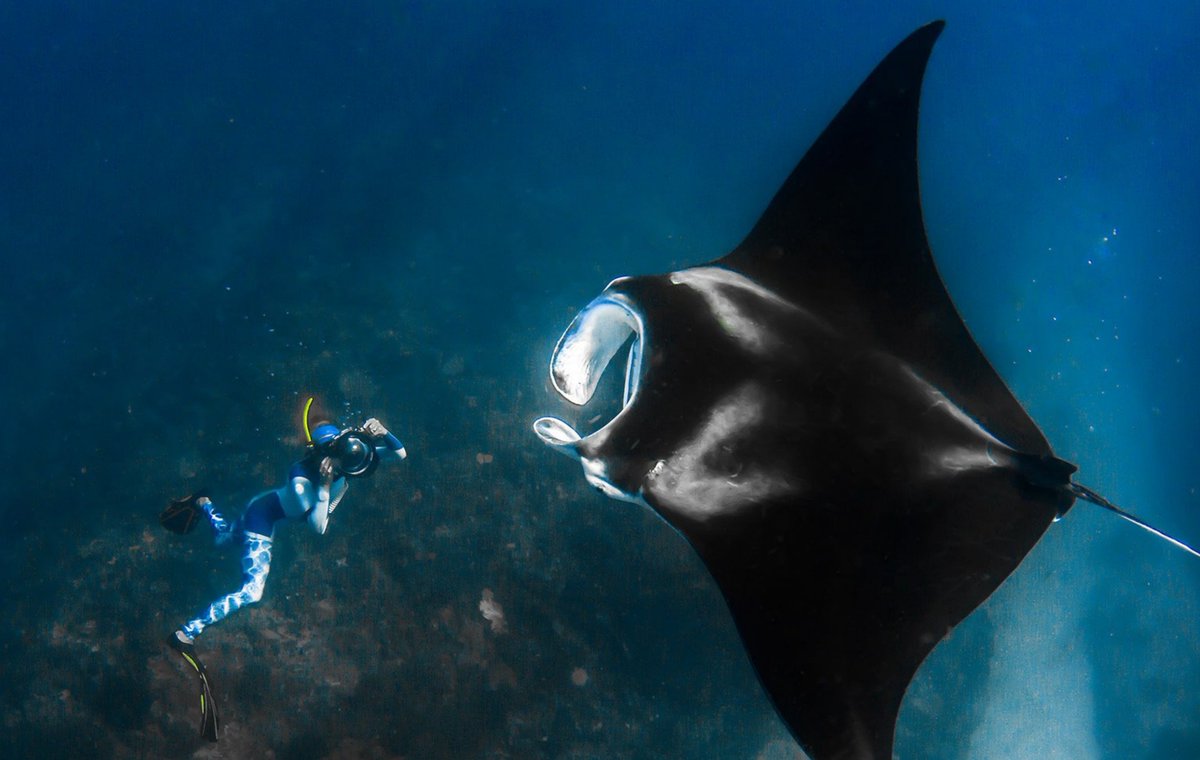 Martina Grom ☁️ 🏃‍♀️ 🦋#bekind tweet media