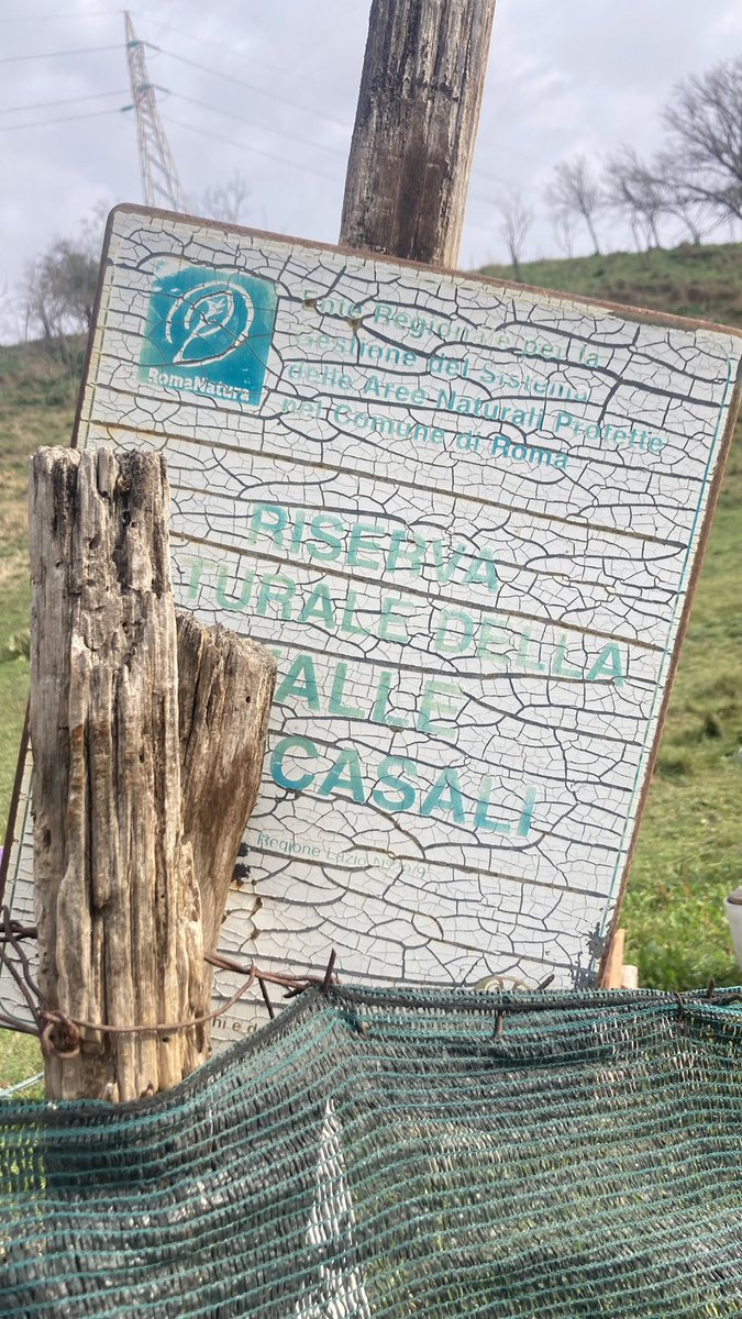 Marcopalmaxv's tweet photo. Collina a via Colle Salvetti @EnteRomaNatura #valledeicasali e rischio idrogeologico.Nota a #Csimu @DPCgov @procivArvaliaXI  @TgrRaiLazio @Scrittomisto @tempoweb @IlMsgitRoma @corriereroma @rep_roma @ilgiornale @Libero_official @AnsaRomaLazio @Adnkronos @fanpage @gualtierieurope https://t.co/XDIbzSi8uC