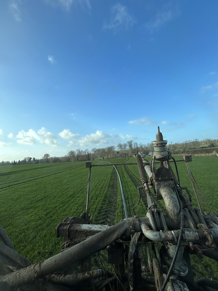 Couldn’t beat it with a big stick