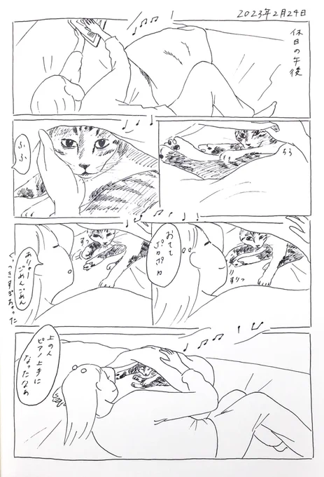 2023/2/24のぎんちゃん #今日のぎんちゃん 