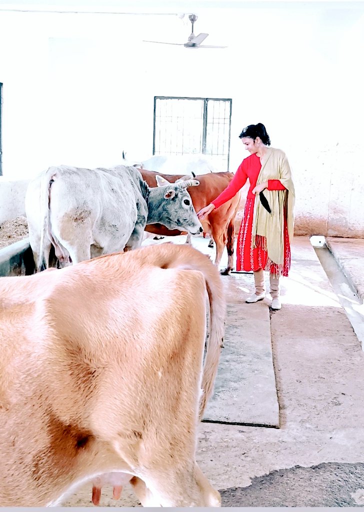 ParveenaRana's tweet image. #Spacial Day
🎂🍫💐☺️☺️