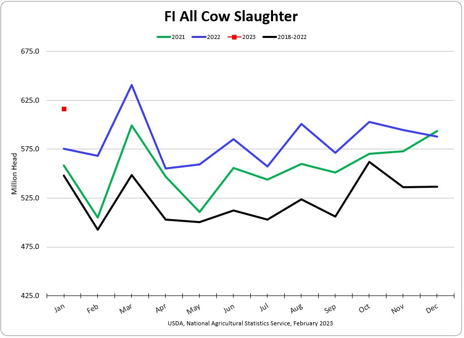 From yesterday's Livestock Slaughter Report. Starting out the year with a big cow kill.