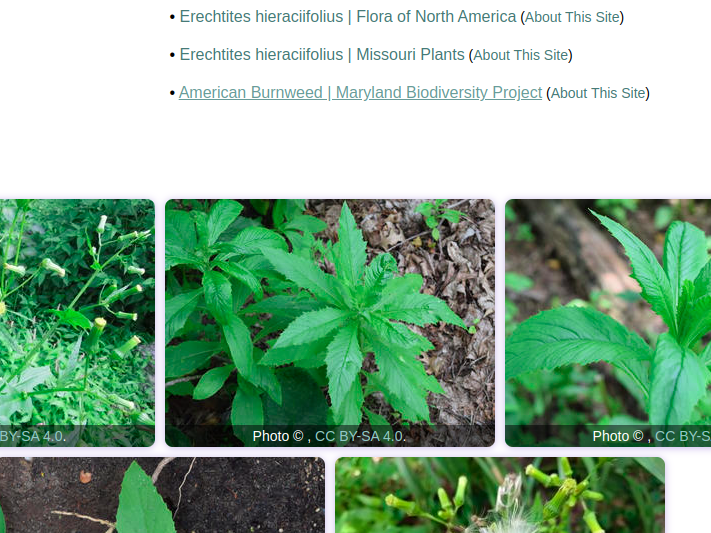 bplant.org tweet media