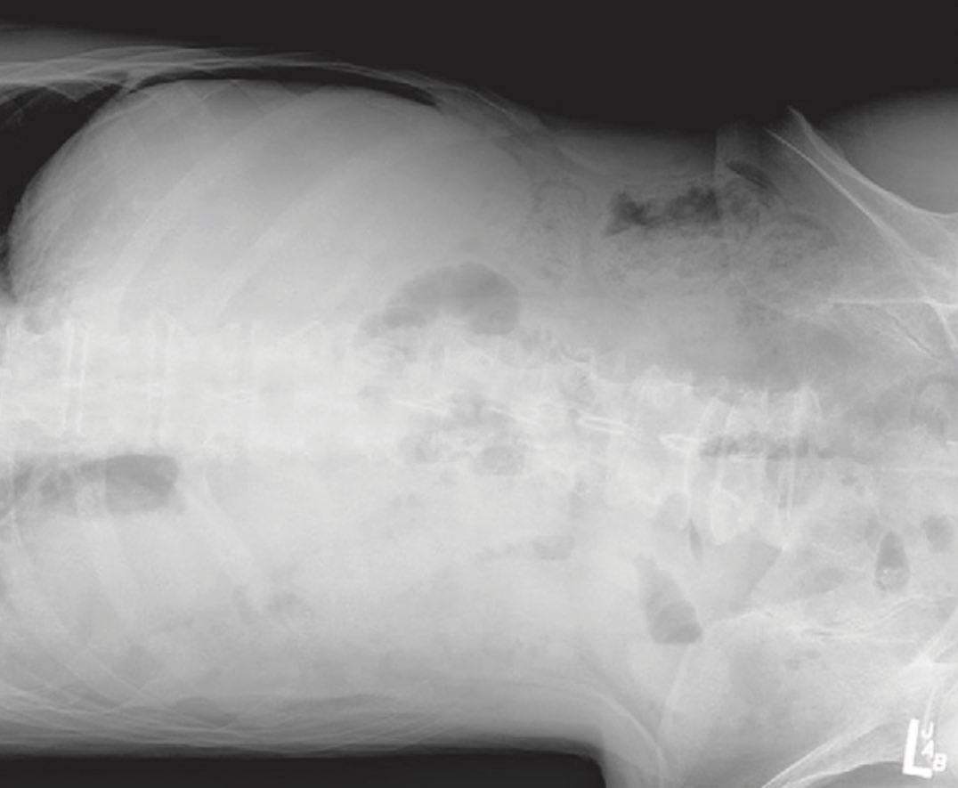 سماء الأشعة ☢ tweet media