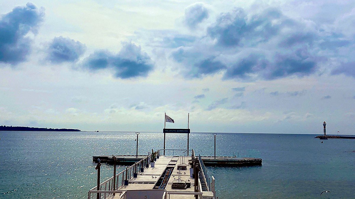 Caro Clem 🪸🌊⛵️ tweet media