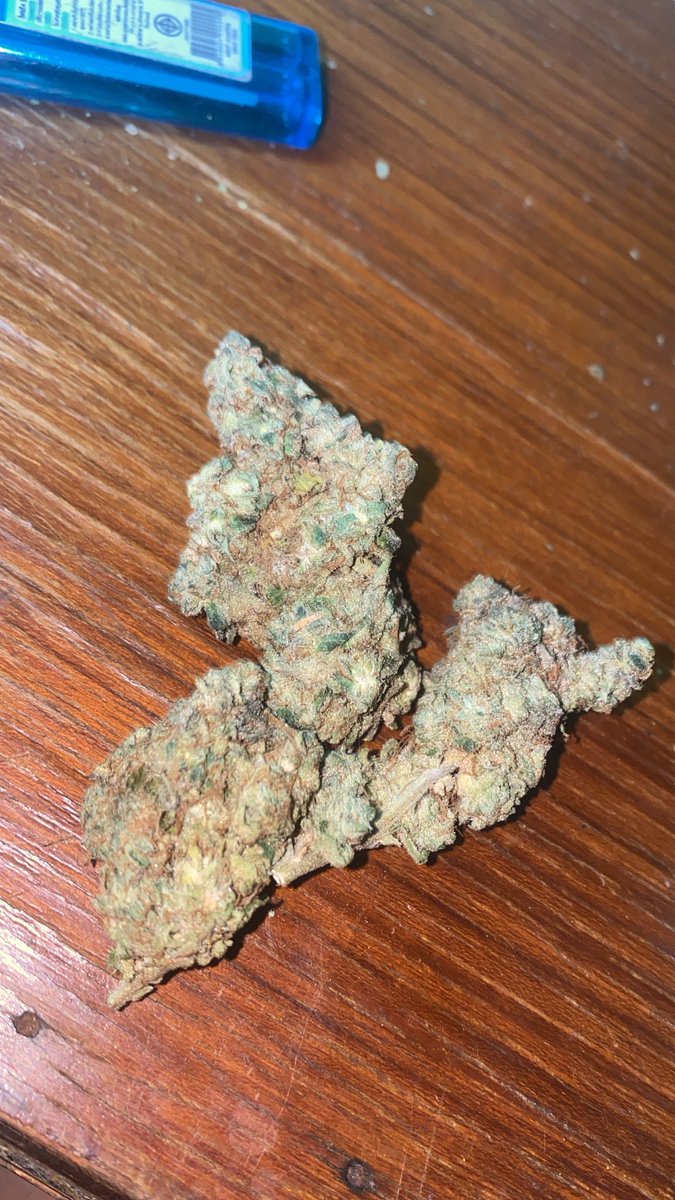 Rick420c137's tweet photo. ดอกยังมีนะค้าบ
#GreenInferno #Funkush
#กัญชา #กัญชาog #กัญชาเสรี #กัญชากรุงเทพ #กัญชานอก #กัญชารังสิต #กัญชานนทบุรี #กัญชาเมืองทอง #เมืองทอง #กัญชาปากเกร็ด
#พันลําog #กัญชาเชียงใหม่
#กัญชากทม #ขายกัญชา #cbd #thaicannabis #weedthailand #Mmemberville https://t.co/gkw4uV2xAB