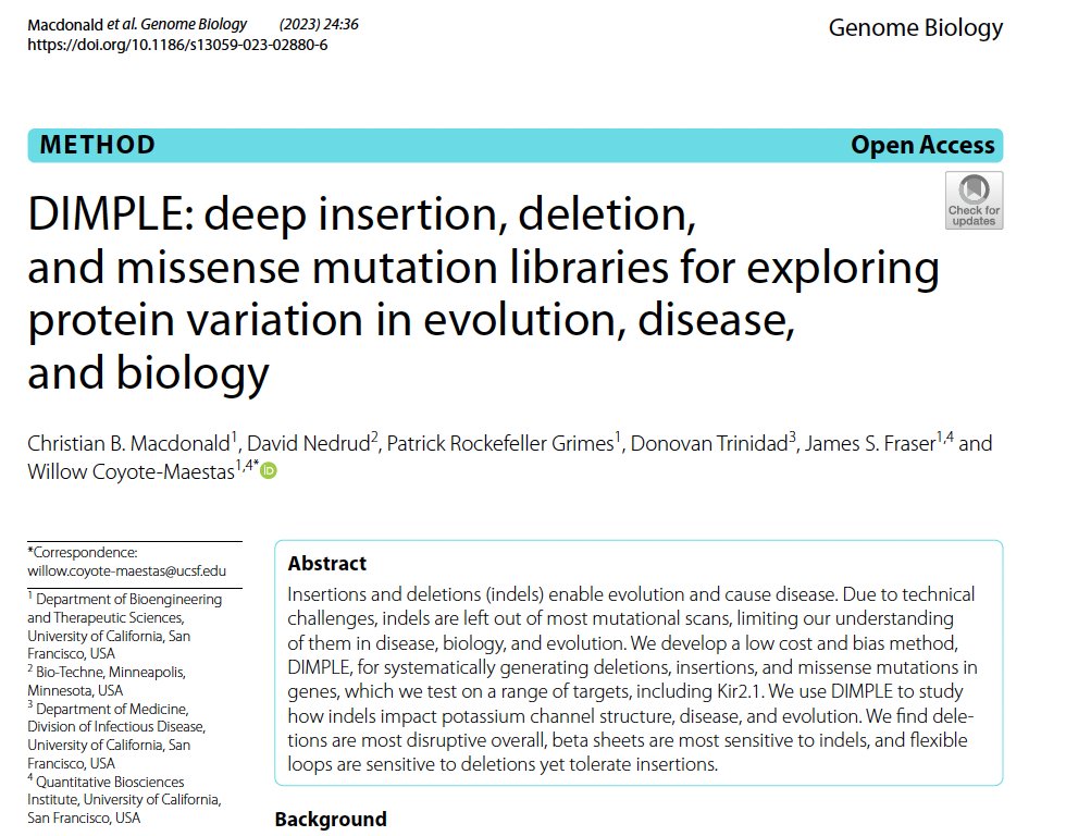 Willow Coyote-Maestas tweet media