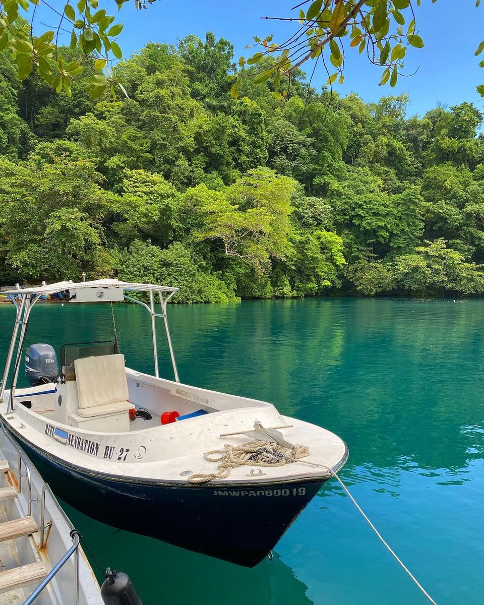 MaritimeJa's tweet photo. Friday views ft. a small vessel on the Blue Lagoon.
Here's your reminder that registering your vessel with the Jamaica Ship Registry and #MaritimeAuthorityJa provides protection for your vessel in the event that you choose to
operate outside of Jamaican waters.
#SmallVessel https://t.co/4ceGcpJExq