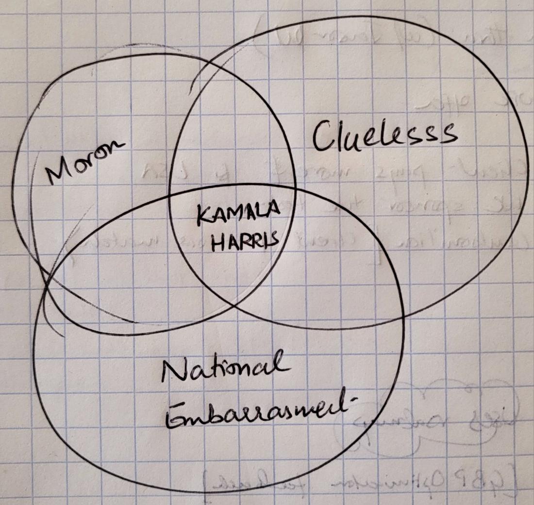 Venn Diagrams. Explained. #venndiagrams #veep #KamalaHarris