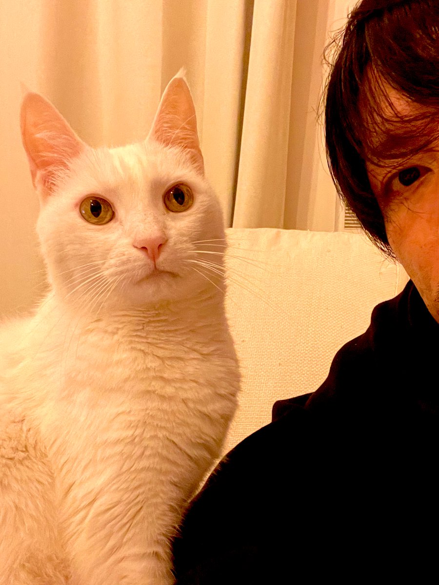 mak_tentative's tweet photo. 1週間前、家族であり友であり恋人だった存在が虹の橋を渡った。癒しを期待して読んだ本も聴いた音楽も、どれもありきたりのことしか言ってないので、時間と金の無駄だ。早くまた会いたい。
それにしても3枚目の写真（健在のころです）は、Chapterhouseのジャケットみたいだ。可愛い。 https://t.co/vrANSs7rWW