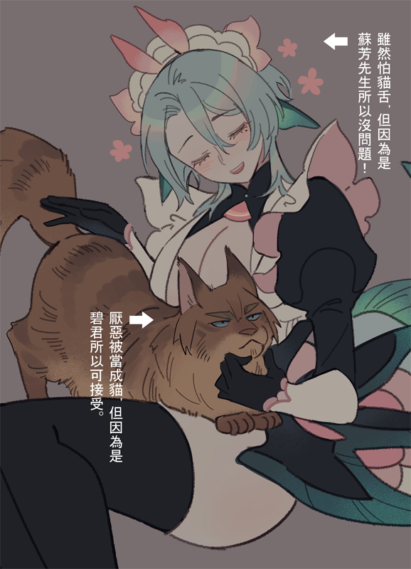 中文ver
蘇芳應該是緬因貓,大型貓貓 🐱 